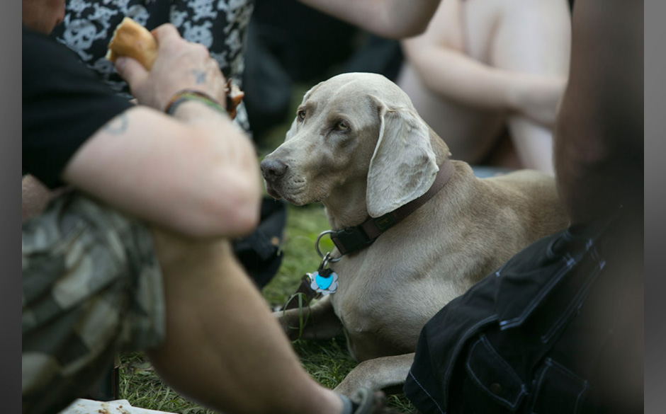 Impressionen WGT 2013