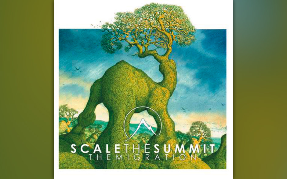 Scale The Summit