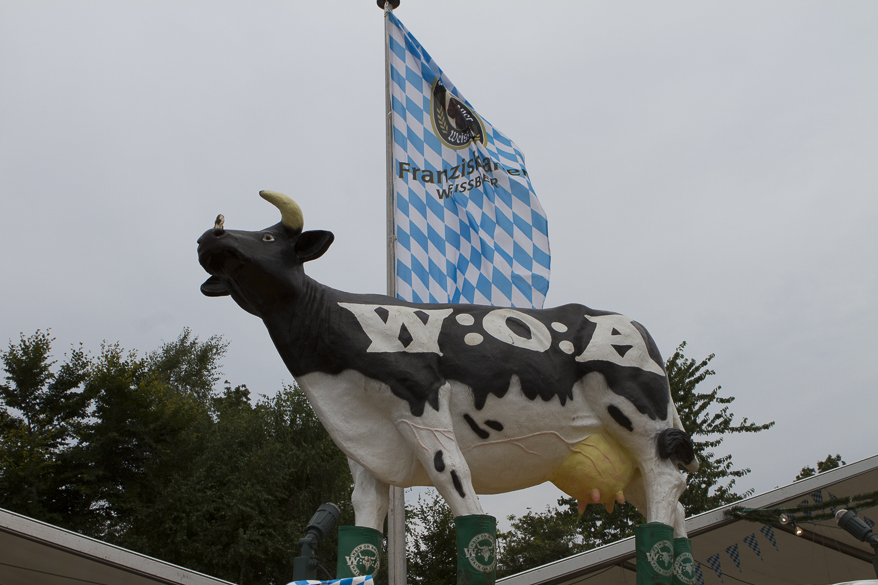 Wacken Open Air 2013 - Fans und Atmo