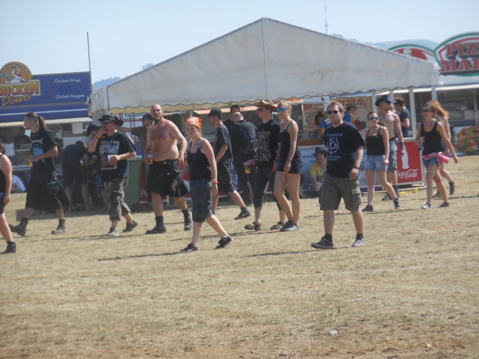 Summer Breeze 2013: Fans und Amto