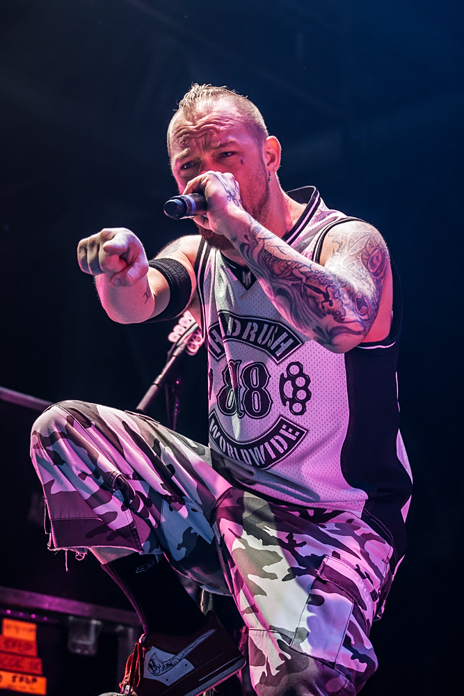 Five Finger Death Punch live, 14.11.2013, München