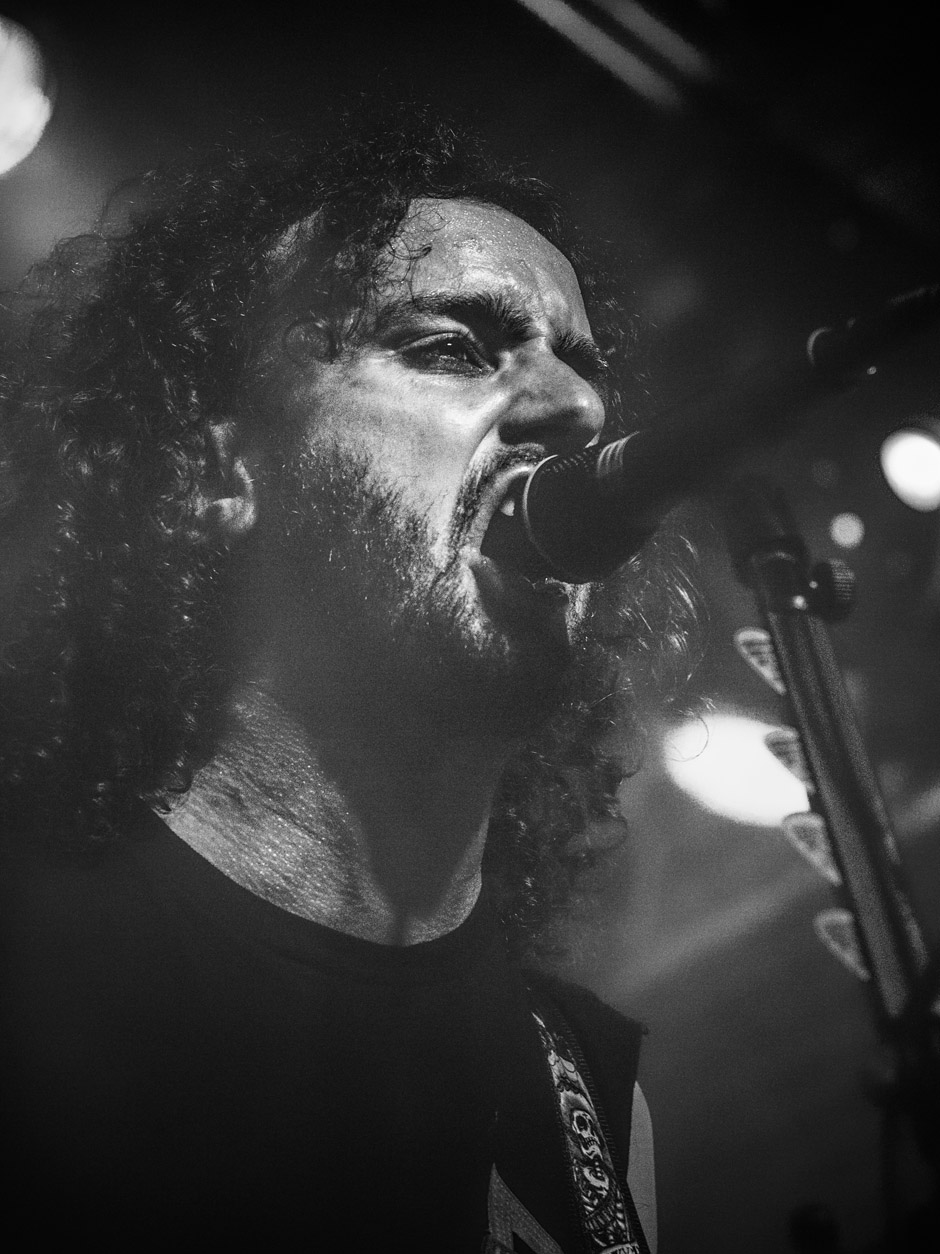 Alestorm live, 13.09.2014, Bochum: Matrix