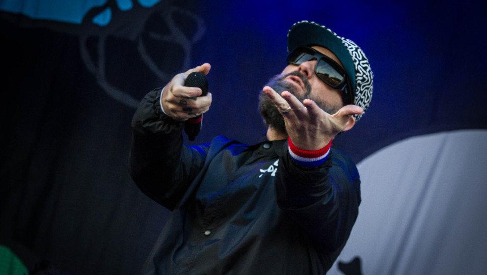 Limp Bizkit, Rock im Revier 2015