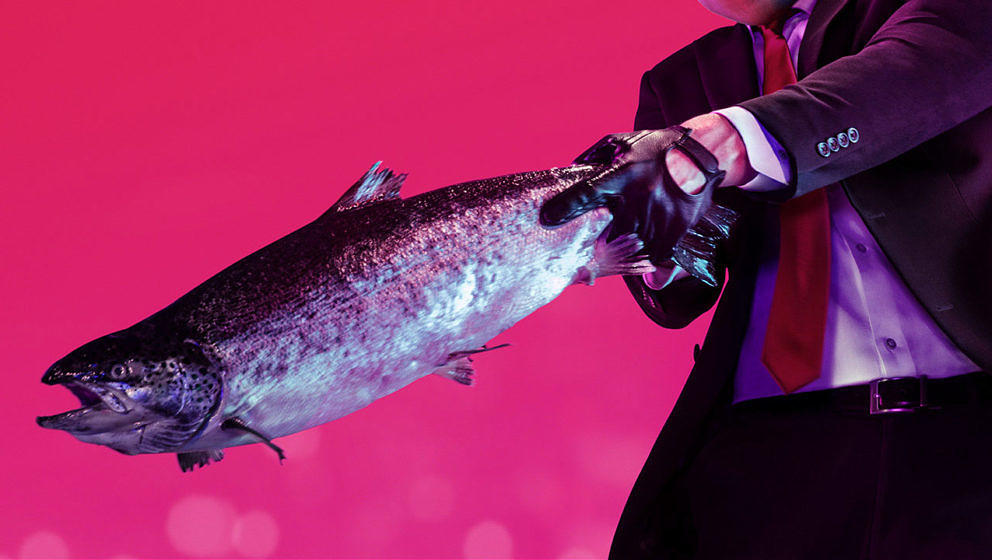 In den Händen von Agent 47 kann sogar ein Fisch tödlich sein.