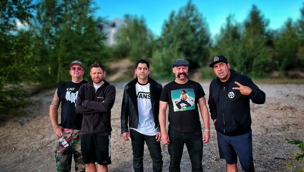 Zebrahead