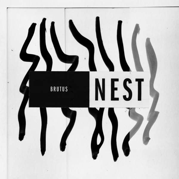 brutus-nest.jpg