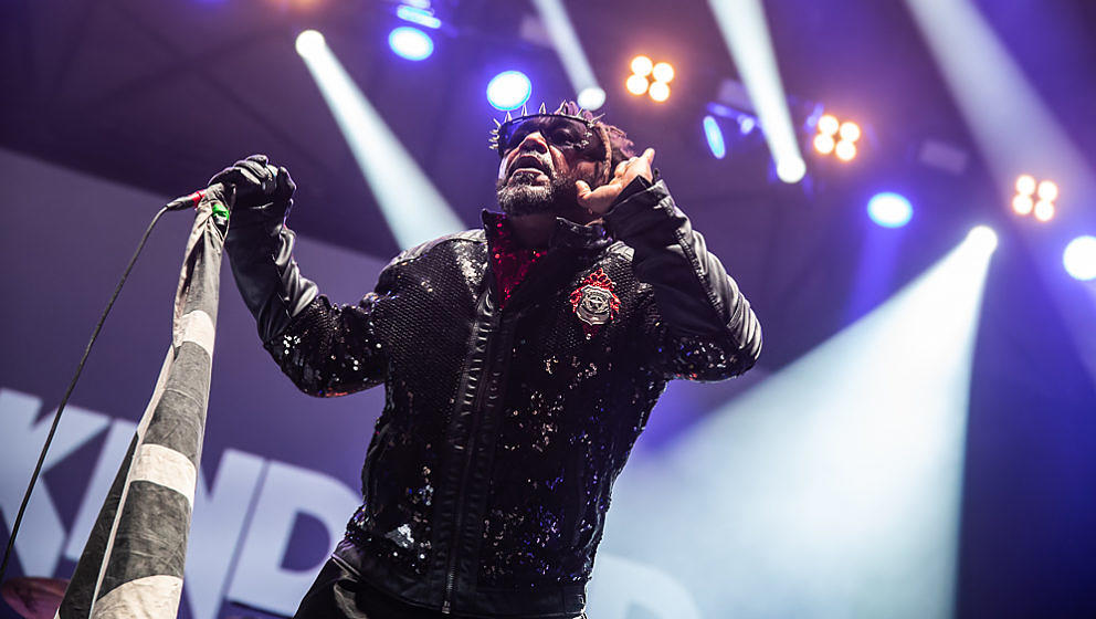 Skindred @ Zenith München, 25.4.2019