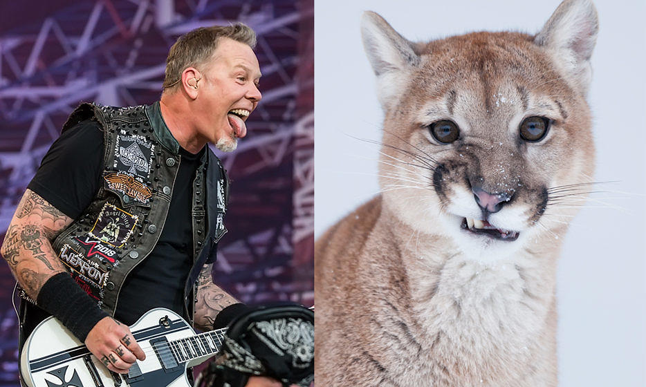 Metallica vs.Puma
