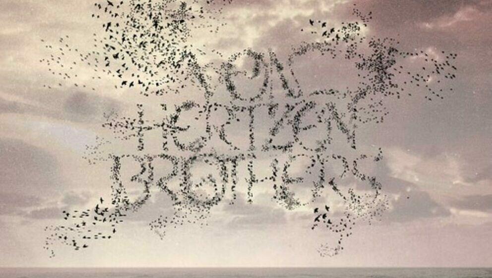 Von Hertzen Brothers IN  MURMURATION